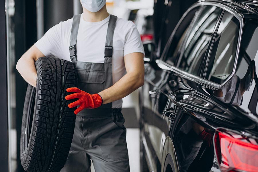 Everything You Need to Know About Cars